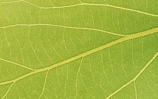 581730 (a): :1920x1200